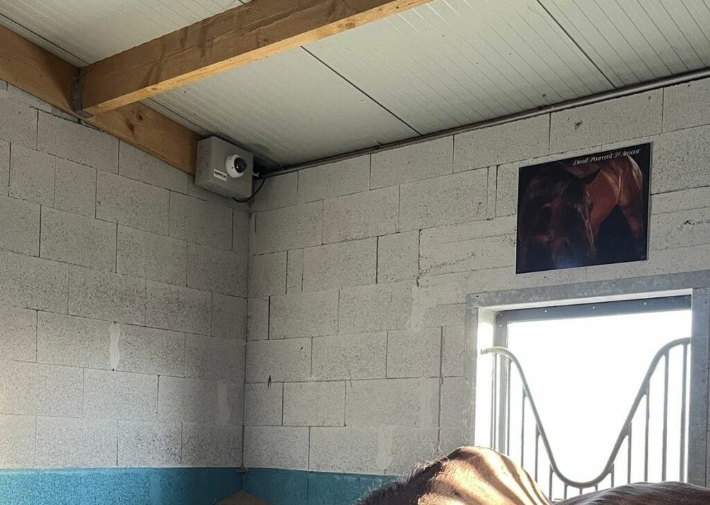 Caméra surveillance poulinage